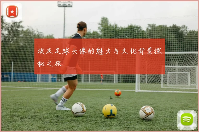 埃及足球头像的魅力与文化背景探秘之旅