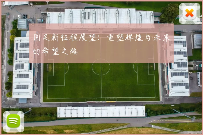 国足新征程展望：重塑辉煌与未来的希望之路