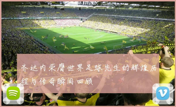 齐达内荣膺世界足球先生的辉煌历程与传奇瞬间回顾